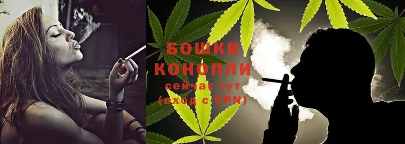 купить наркоту  ссылка на мегу ссылки  Каннабис Ganja  Новосибирск 